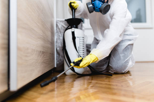 Best Mosquito Control Services  in Sharon, WI