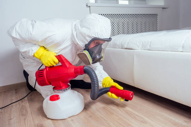 Flea Control Services in Sharon, WI