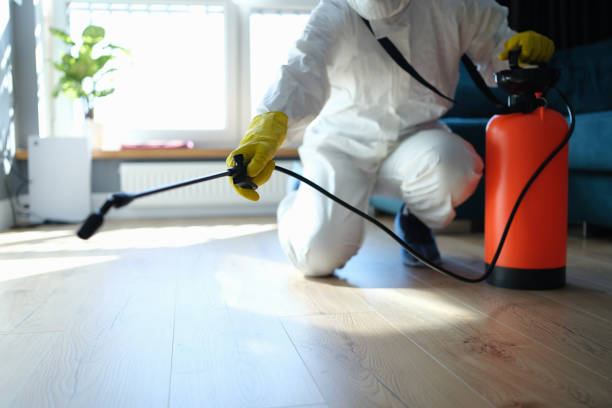 Best Flea Control Services  in Sharon, WI