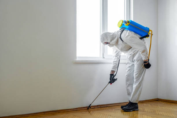 Best Affordable Pest Control Services  in Sharon, WI