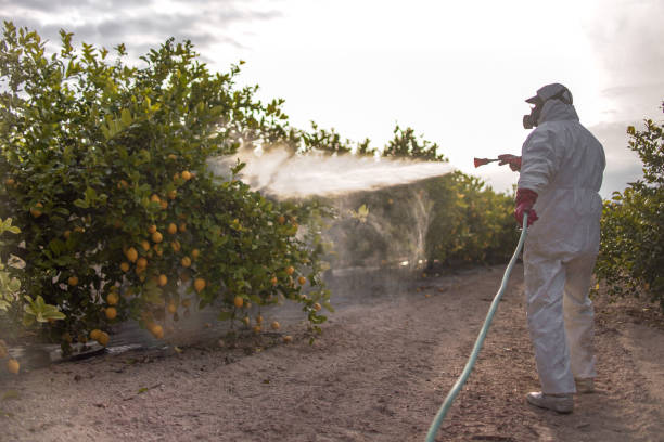 Best Best Pest Control Companies  in Sharon, WI