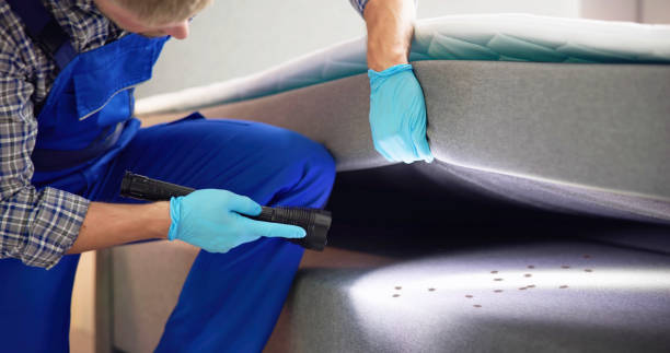Best Pest Removal Services  in Sharon, WI