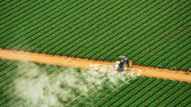 Pest Prevention Services in Sharon, WI