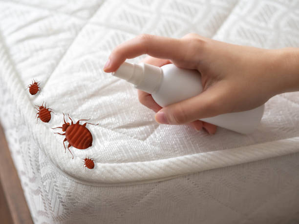 Best Pest Inspection Near Me  in Sharon, WI