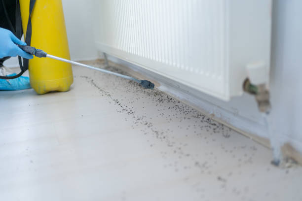 Sharon, WI Pest Control Company