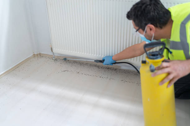 Best Residential Pest Control  in Sharon, WI